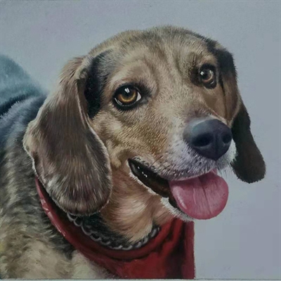 Hand Painted Oil Painting Dog Portraits from Photos,by myDaVinci - myDaVinci